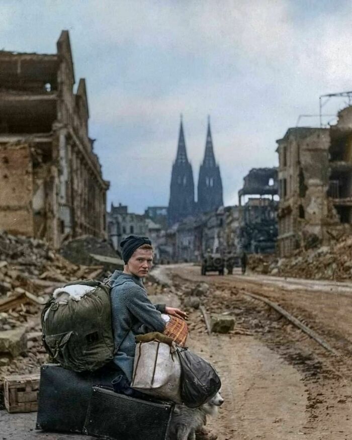 A German Woman Sitting Alone With Her Dog And All Her Belongings In The Ruins Of Cologne, 1945