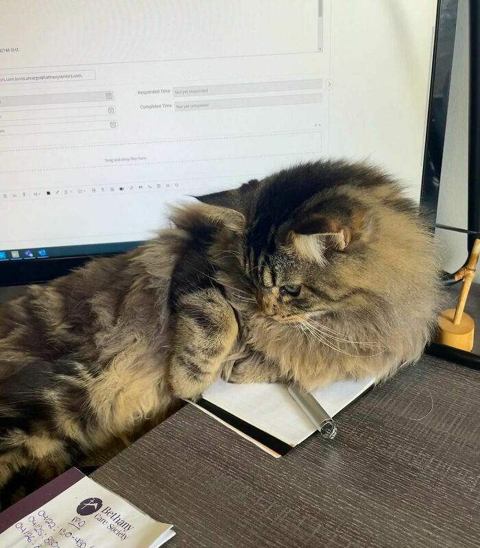 Oh, You Want To Work? Sorry, I Don’t Think So