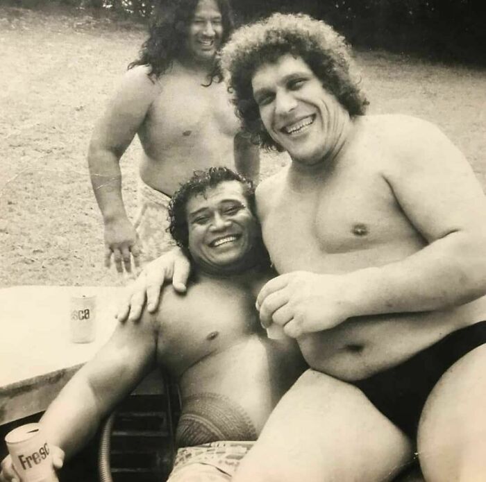 André The Giant, Using Dwayne Johnson's Grandfather (Weighing 315lb), High Chief Peter Maivia As A Booster Seat. 1970s