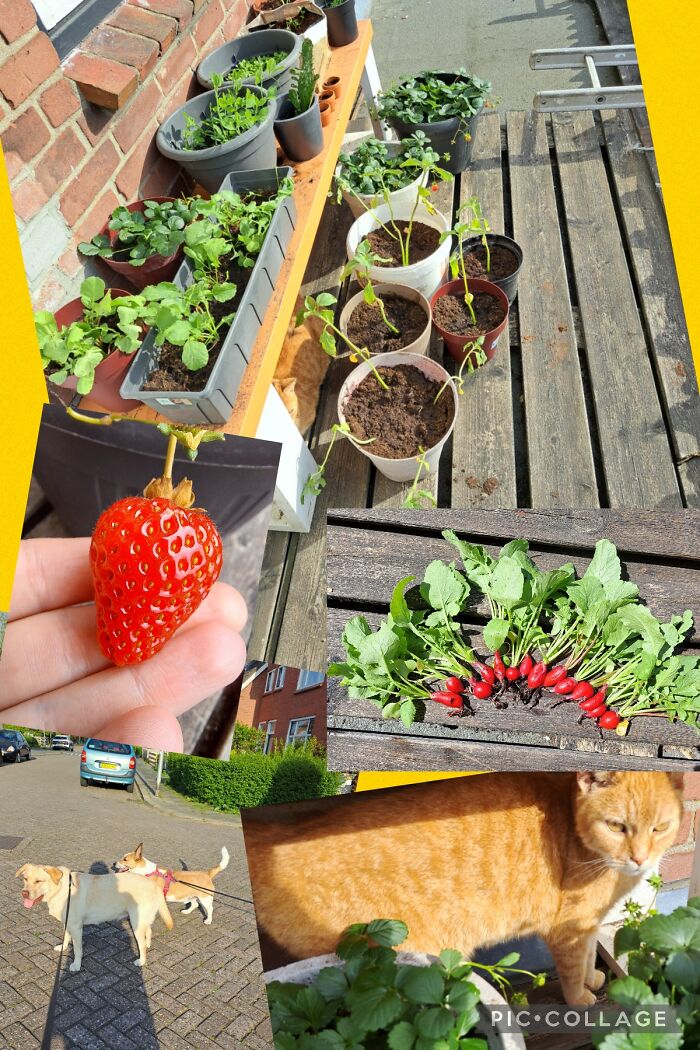 Plants, Warm Cats And Taking Walks Without A Coat On!