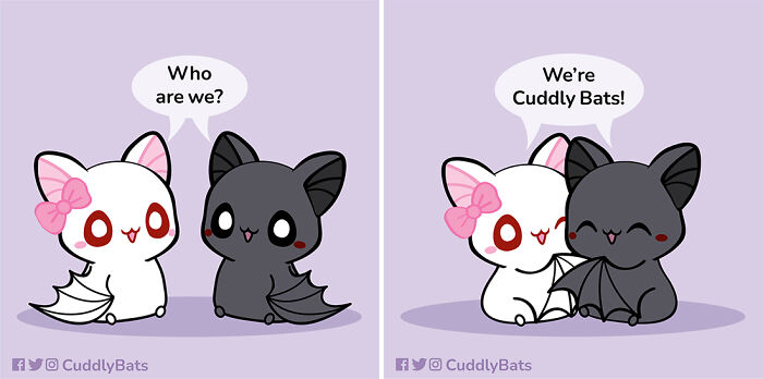 We Are Cuddly Bats
