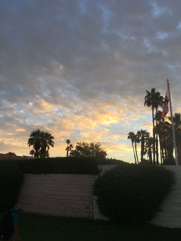 New Pictures That I Took (37 Pics)