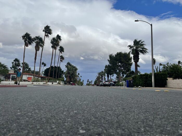 New Pictures That I Took (37 Pics)