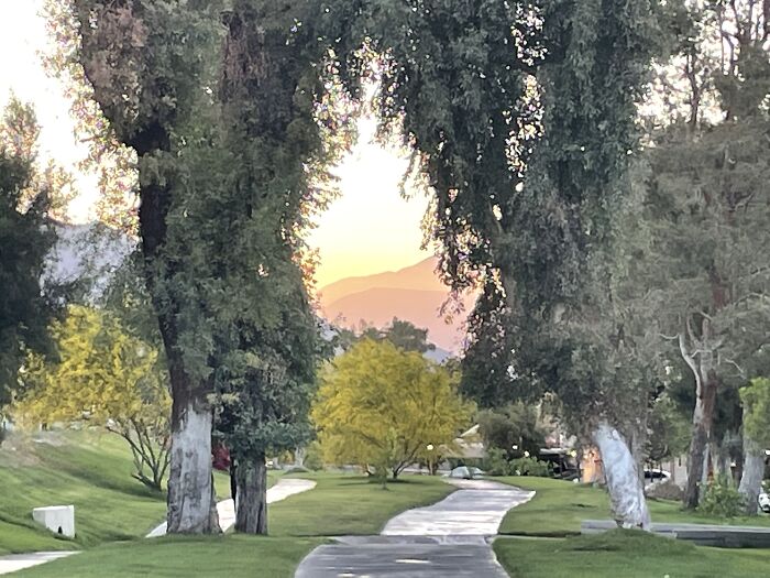 New Pictures That I Took (37 Pics)