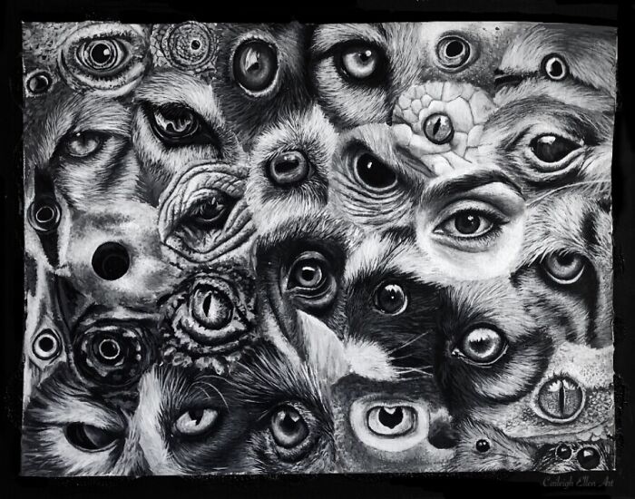 Not Just 1, But 31!!! Can You Guess Them All?