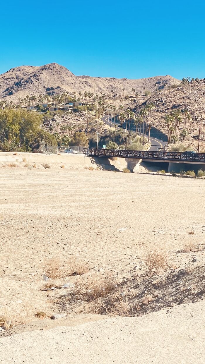 New Pictures That I Took (37 Pics)