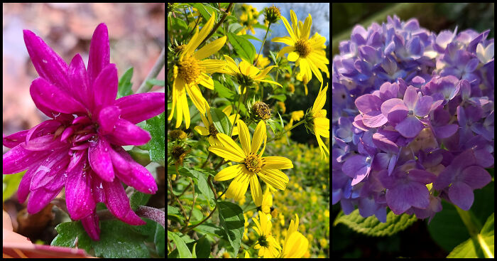 Photographer Captures Nature Through Her Lens On Early Morning Walks (5 Pics)