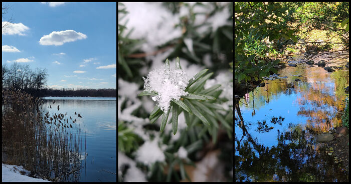Photographer Captures Nature Through Her Lens On Early Morning Walks (5 Pics)