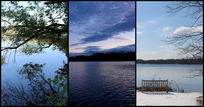 Photographer Captures Nature Through Her Lens On Early Morning Walks (5 Pics)