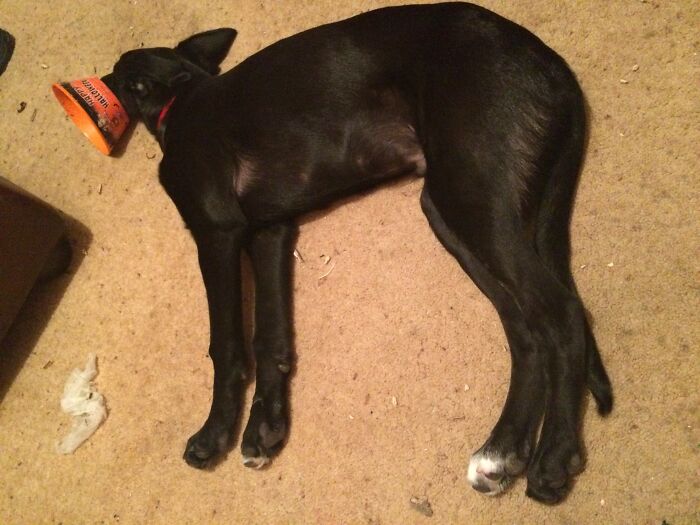 Really Tired After A Day Of Destruction!