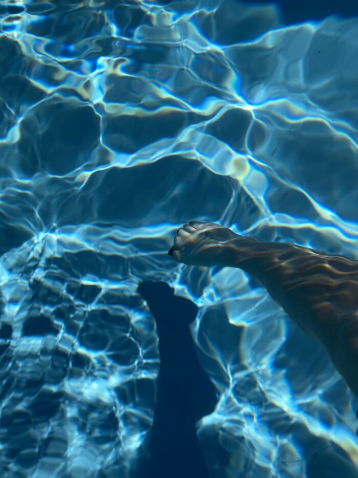 Went Out In The Pool For The First Time This Year! Was A Lil Chilly At First But I Got Used To It. Rocking Out To Music And Just Being A Doofus 🤪