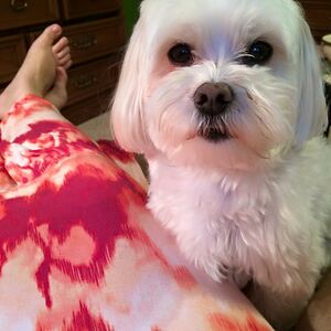 lilcountry2114 avatar