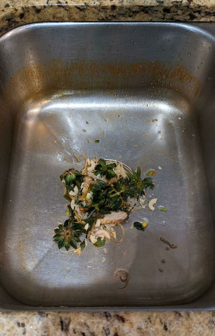 My Wife Just Throws Her Kitchen Scraps In The Sink Instead Of The Trash Can Because "The Disposal Can Handle It" 