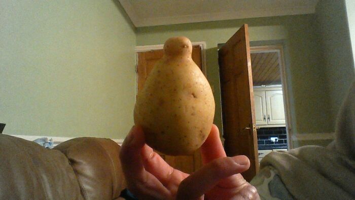 This Potato That Is Shaped Like Baymax From Big Hero 6