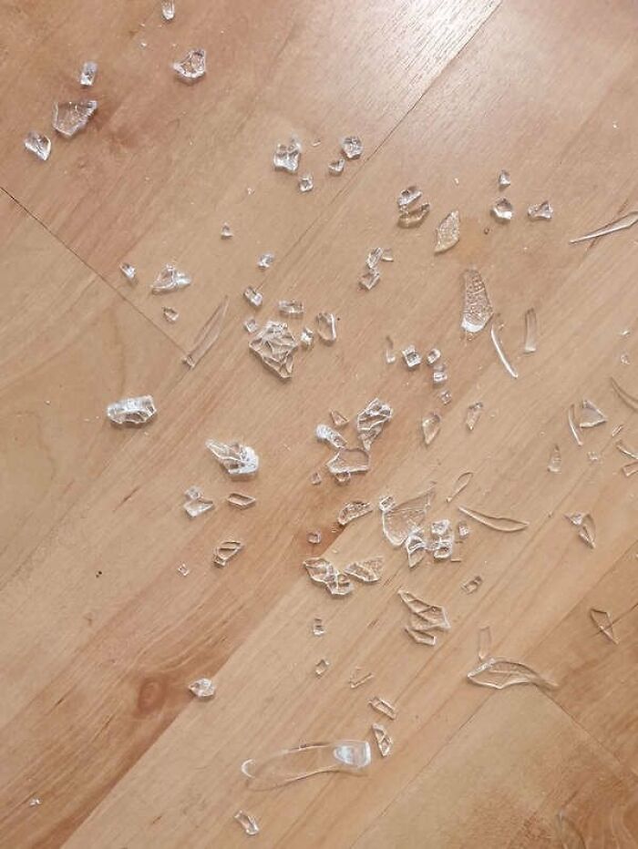 Let's Just Say I'm Not The One Who Broke This