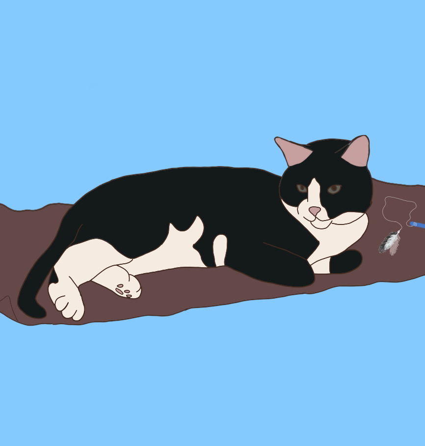 Hey Pandas, Draw A Cat