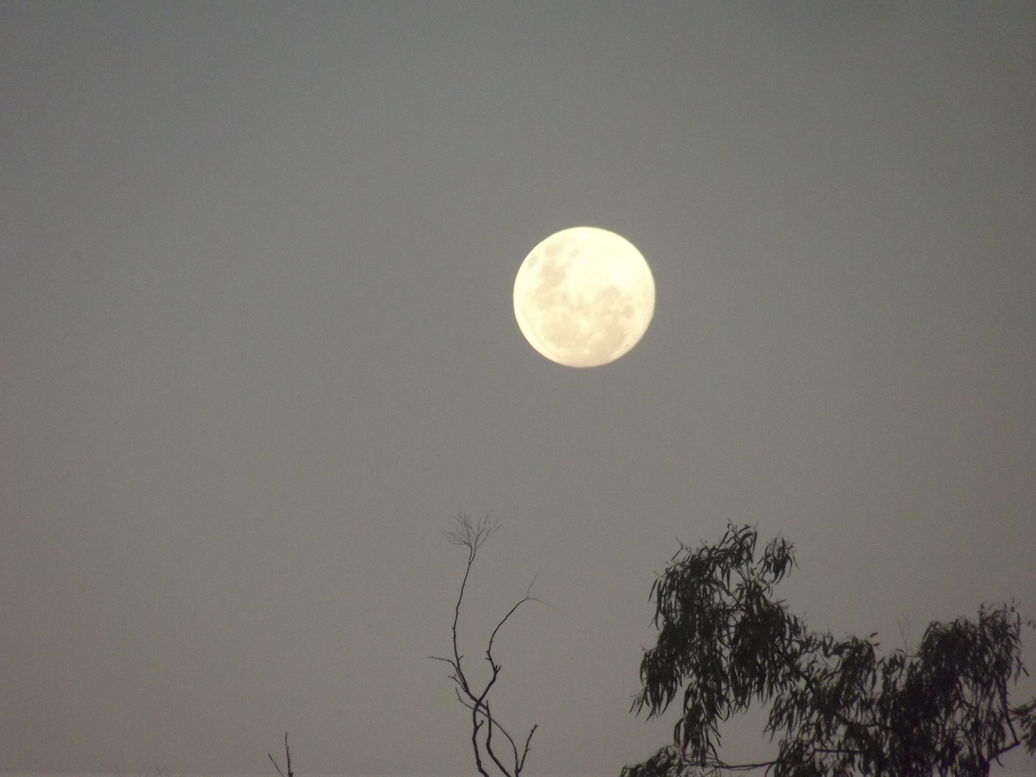 Hey Pandas Show Me Your Favourite Photography Pictures!