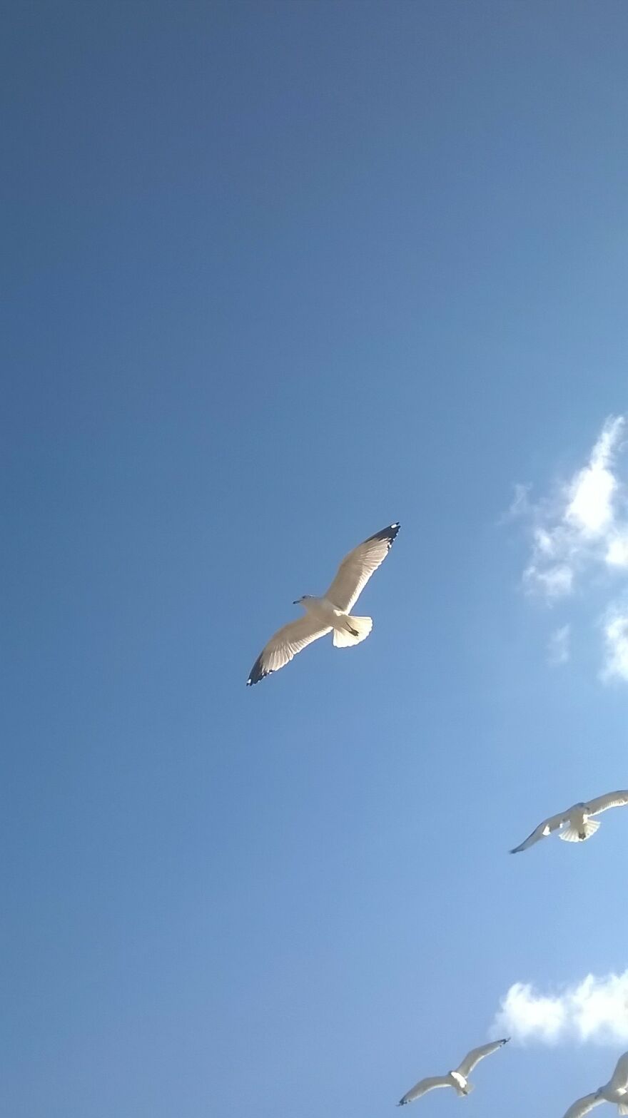 I Am You, And I Wrote This For You