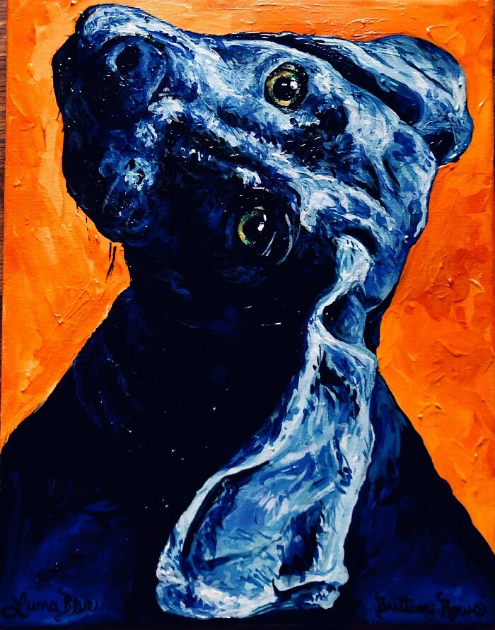 Luna Blue - Owl Practice