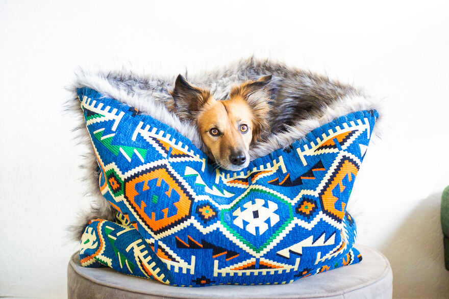 I Started Making Anti-Anxiety Dog Beds By Hand And Now Make Them For People Too