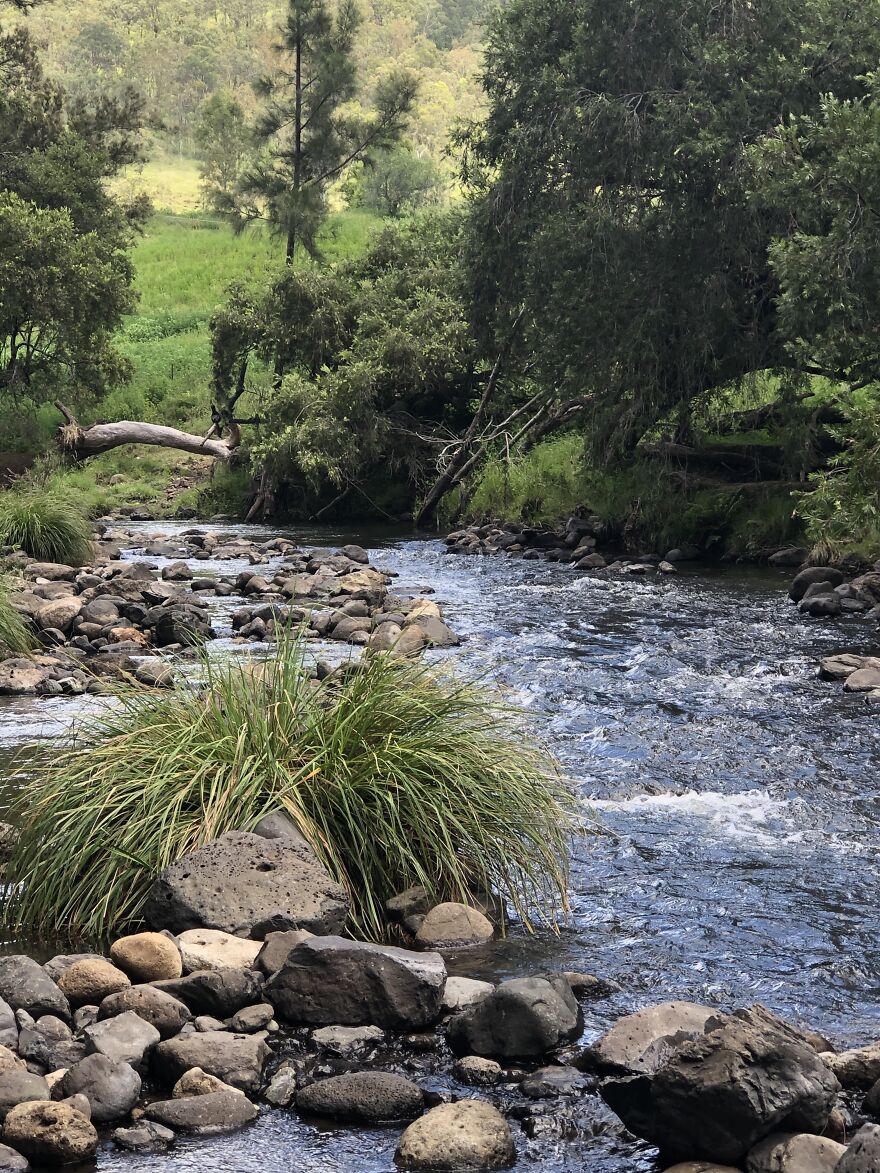 Mildly Good Photography By Me (8 Pics)