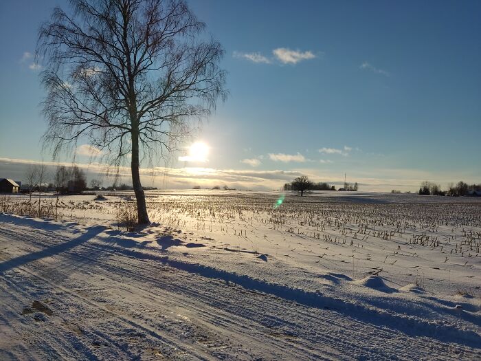 The Countryside In Winter, Latvia