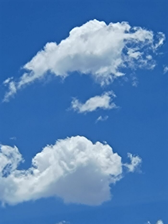 Can You Guys See The Dragons Head, Or Is It Just Me?