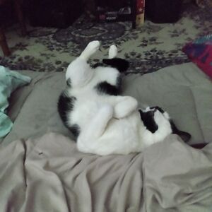 myunitedstatesofwtf avatar