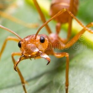 niels-pouleyn avatar