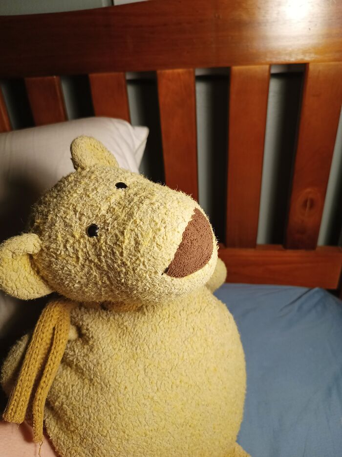 Hank. My Favourite Teddy. I Still Sleep With Him. My Girlfriend Thinks I'm Childish For It