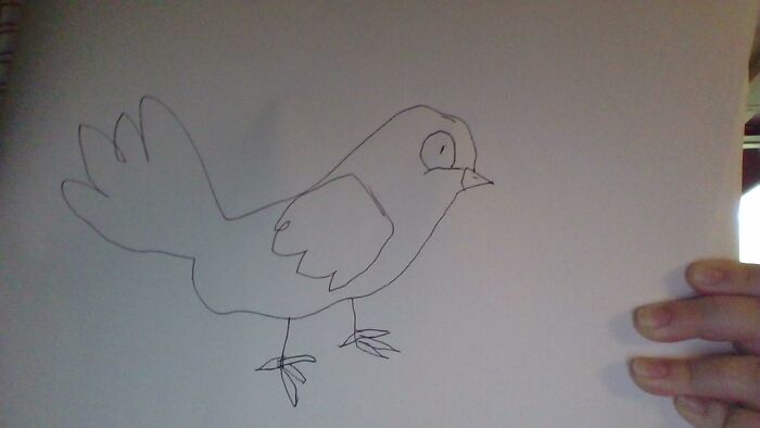 It's A...burd. But Seriously, I'm Bad At This :p
