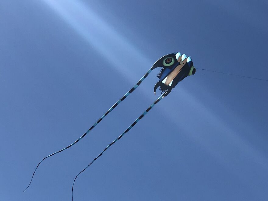 Mildly Good Photography By Me (8 Pics)