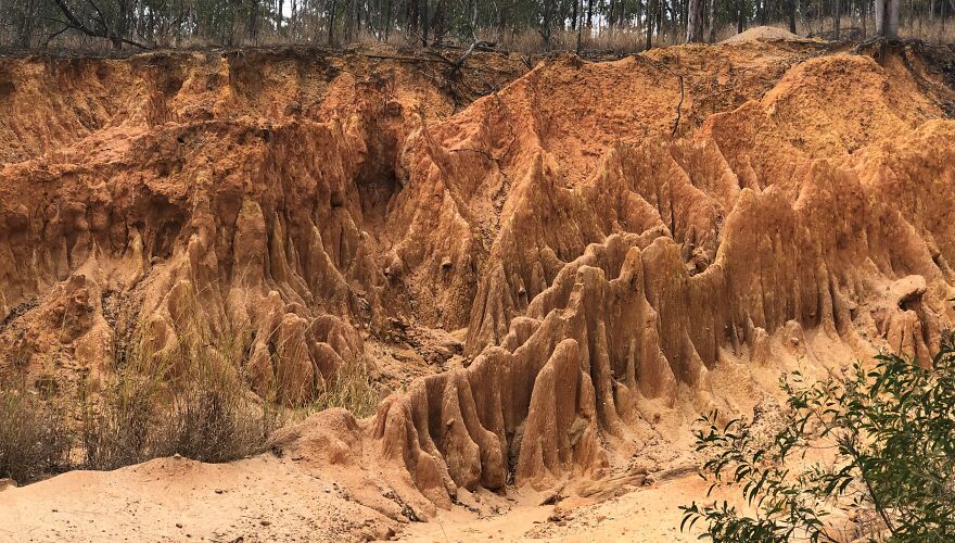 Mildly Good Photography By Me (8 Pics)