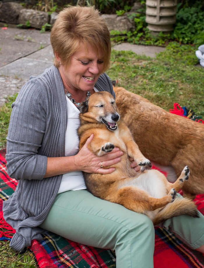My Aunty's Dog, Kyte Is The Queen Of Derp