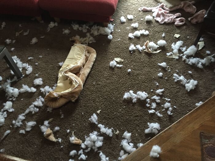 Went To The Store For 15 Min