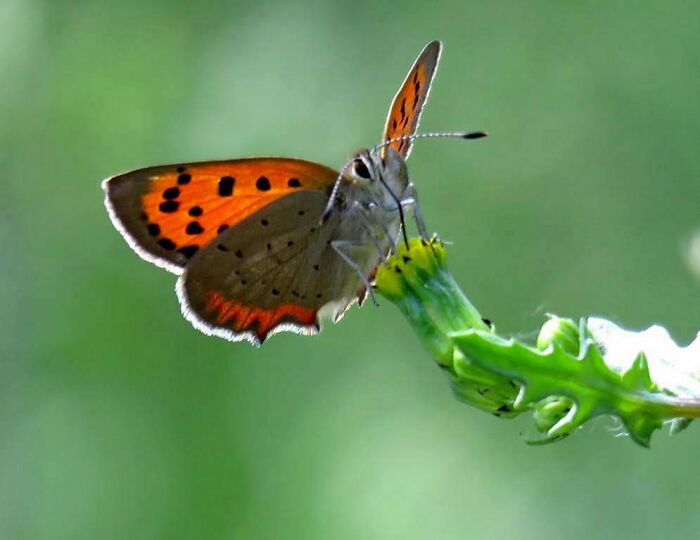 This Beautiful Kid, He Let Me Take Pictures Of Him 🥰