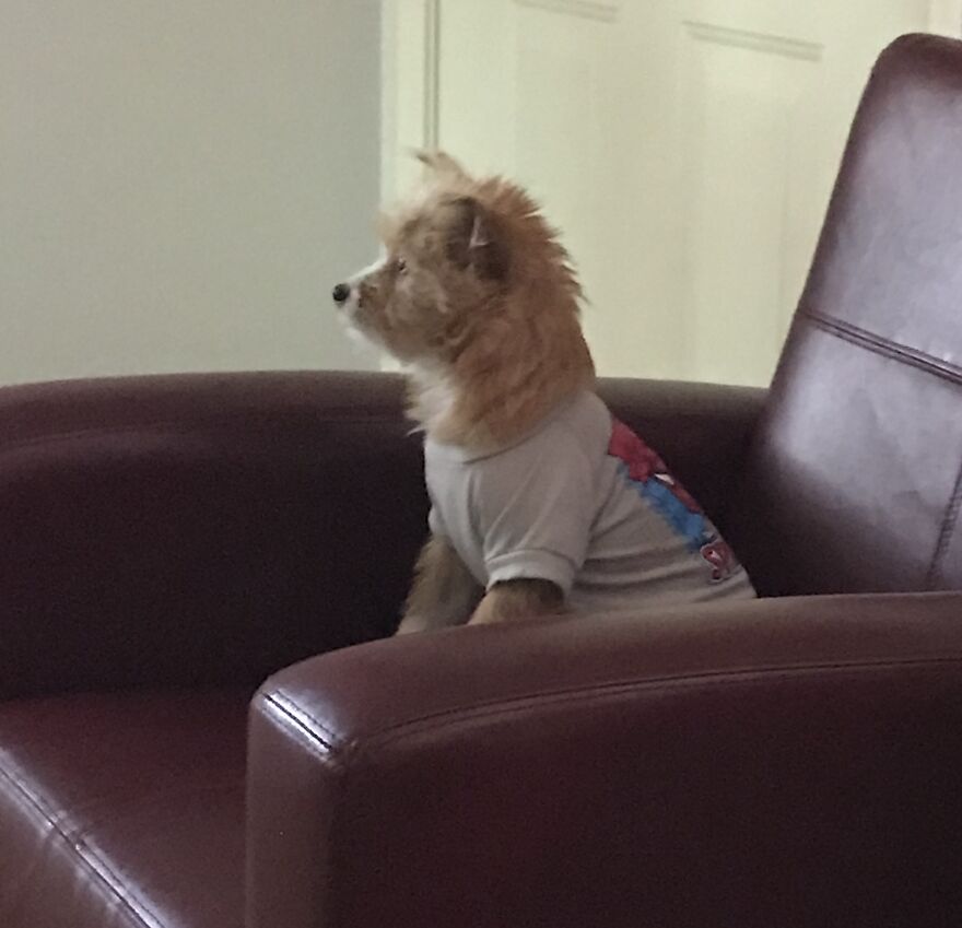 Freddie Watching Cartoons!