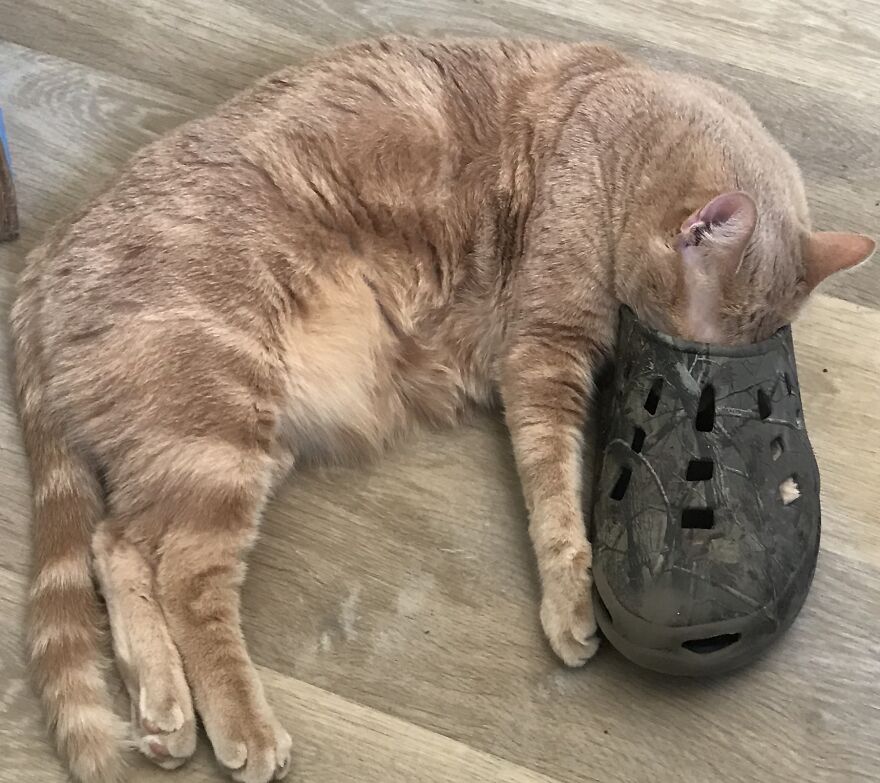 Abby Has A Foot Fetish!