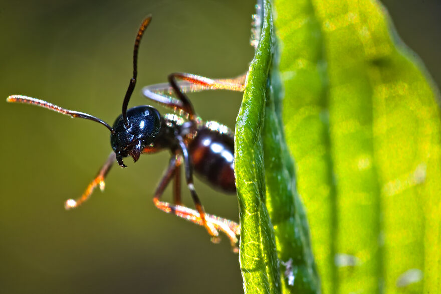 Whatcha Doin' Here, Get Away