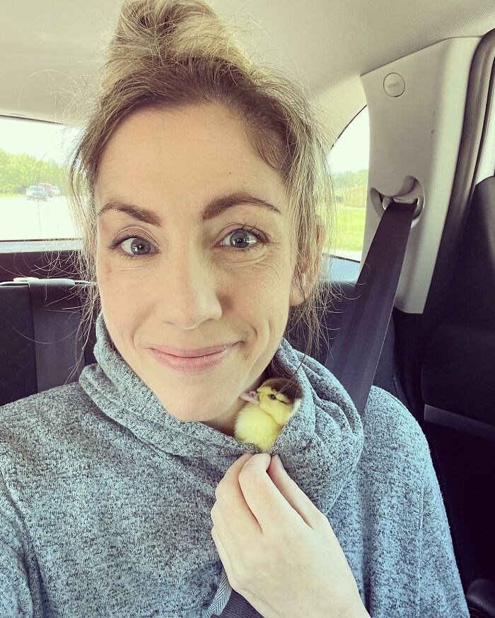 Woman Saves A Baby Duck Abandoned By Her Clutch, Raises Her As A Wonderful Rescue Pet Woman Saves A Baby Duck Abandoned By Her Clutch, Raises Her As A Wonderful Rescue Pet