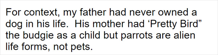 Parents Adopt A Strange Dog, Find Out It's Actually A Wolf Hybrid, It Turns Out To Be The Most Wholesome Dog Ever Parents Adopt A Strange Dog, Find Out It's Actually A Wolf Hybrid, It Turns Out To Be The Most Wholesome Dog Ever