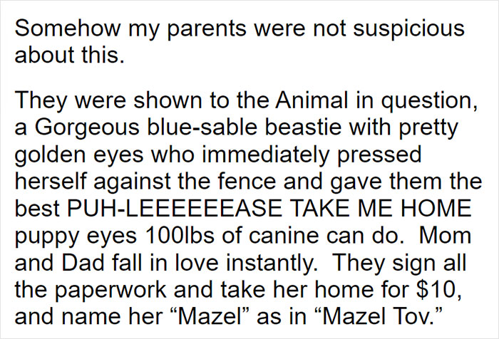 Parents Adopt A Strange Dog, Find Out It's Actually A Wolf Hybrid, It Turns Out To Be The Most Wholesome Dog Ever Parents Adopt A Strange Dog, Find Out It's Actually A Wolf Hybrid, It Turns Out To Be The Most Wholesome Dog Ever