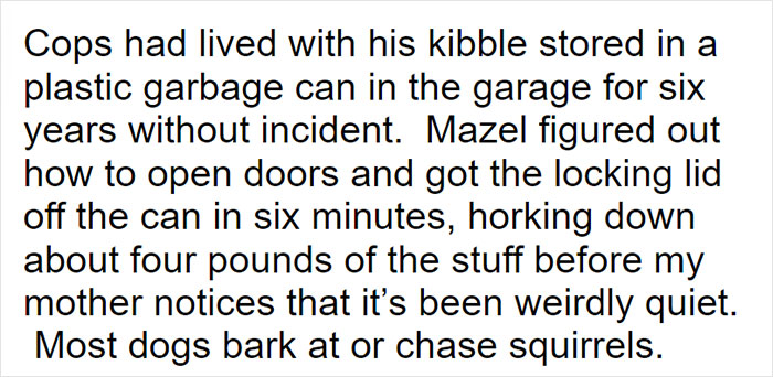 Parents Adopt A Strange Dog, Find Out It's Actually A Wolf Hybrid, It Turns Out To Be The Most Wholesome Dog Ever Parents Adopt A Strange Dog, Find Out It's Actually A Wolf Hybrid, It Turns Out To Be The Most Wholesome Dog Ever