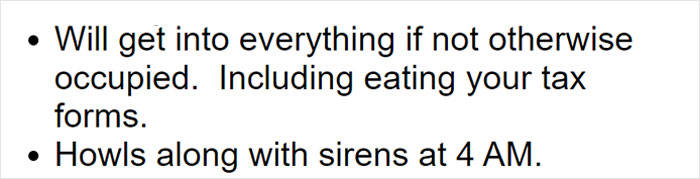 Parents Adopt A Strange Dog, Find Out It's Actually A Wolf Hybrid, It Turns Out To Be The Most Wholesome Dog Ever Parents Adopt A Strange Dog, Find Out It's Actually A Wolf Hybrid, It Turns Out To Be The Most Wholesome Dog Ever