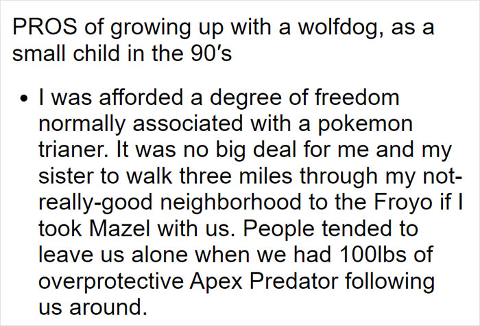 Parents Adopt A Strange Dog, Find Out It's Actually A Wolf Hybrid, It Turns Out To Be The Most Wholesome Dog Ever Parents Adopt A Strange Dog, Find Out It's Actually A Wolf Hybrid, It Turns Out To Be The Most Wholesome Dog Ever