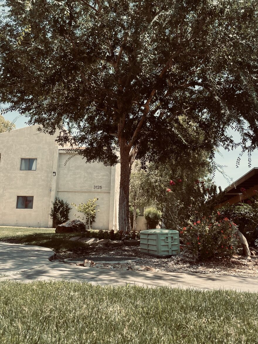 Here Are My First Published Images (40 Pics)