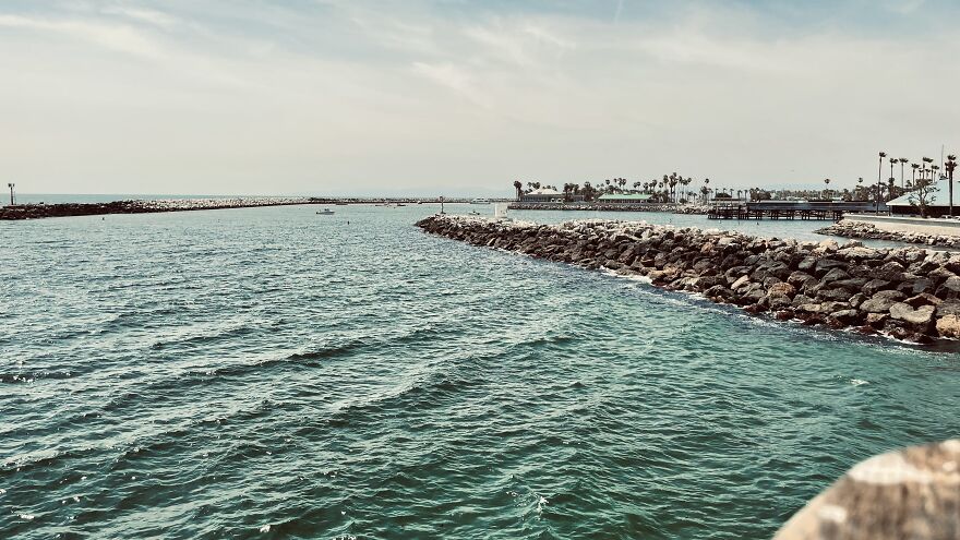 Here Are My First Published Images (40 Pics)