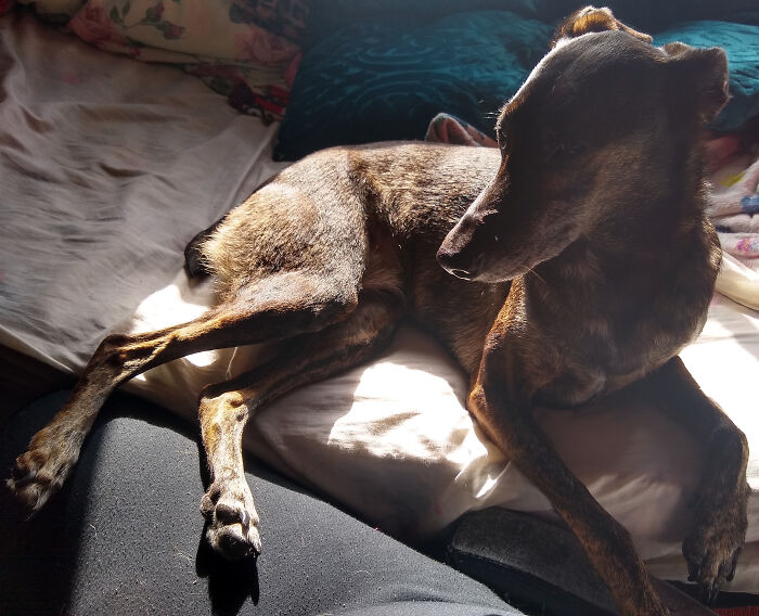 You Wanna Make The Bed? Don't Mind Me, Just Gonna Enjoy The Sun Real Quick, You Can Go Around Me.