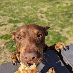 kassandra-finkle avatar