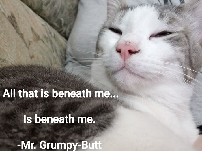 The One And The Only Mr. Grumpy-Butt